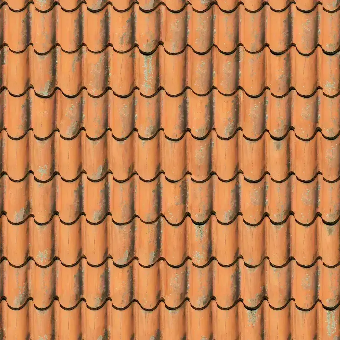 Roof Inspection