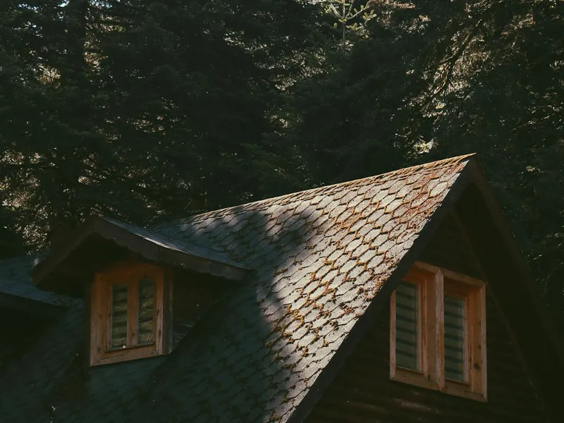 Service Inspect Roofing Inspection Professional Check in Dallas - Dallas Roof Master